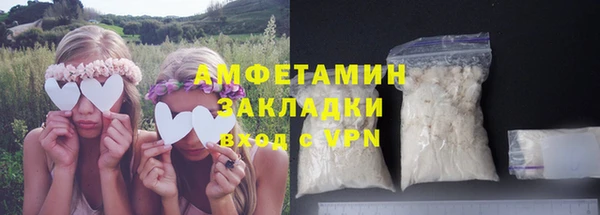 PSILOCYBIN Алзамай