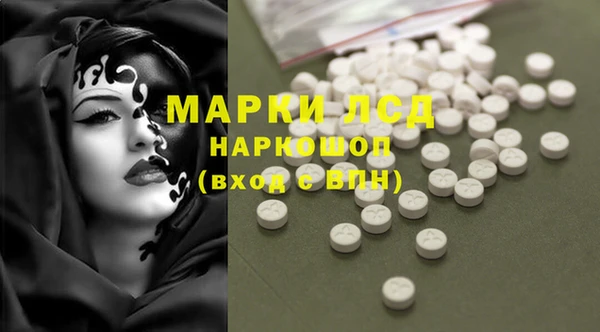 PSILOCYBIN Алзамай