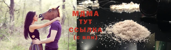 PSILOCYBIN Алзамай