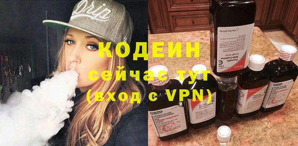 твердый Снежногорск