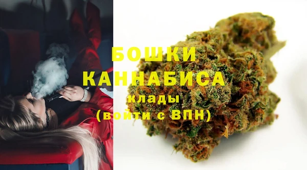 PSILOCYBIN Алзамай