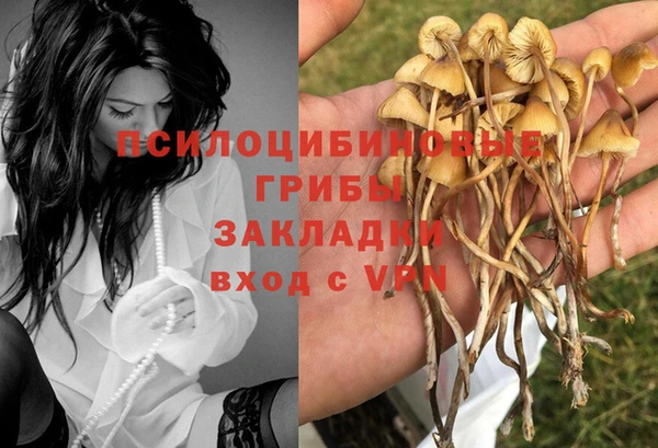 ECSTASY Алексин