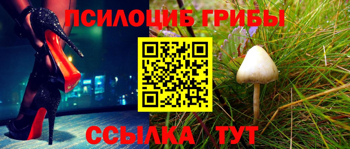 Псилоцибиновые грибы Magic Shrooms Лысьва
