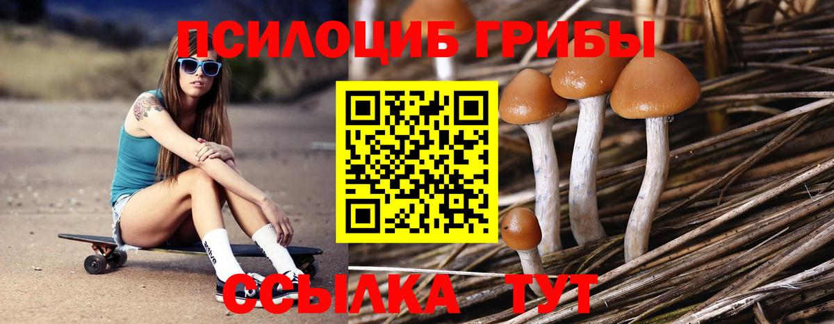Псилоцибиновые грибы мицелий  Вход с VPN  Лысьва  Псилоцибиновые грибы мицелий 